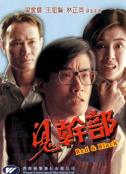 《副总统第二季》电视剧高清全集