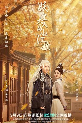 《奇观探长之隐秘危机》电影高清完整版