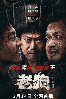 《热气球飞行家【影视说明】》电影高清完整版