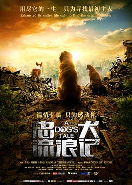 《遇见你真好第一季》综艺高清完整版
