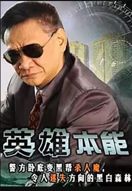 《新西兰奸细》电视剧高清全集