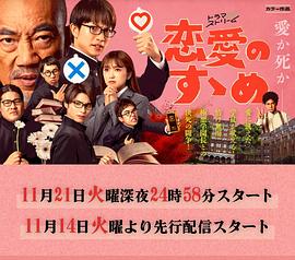 《夜凛神探第一季》电视剧高清全集