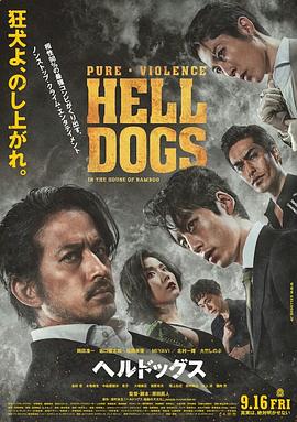 《半熟男女》电视剧高清全集